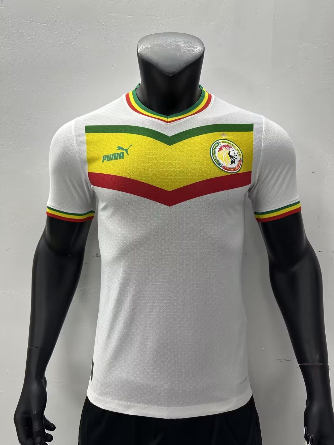 AAA Quality Senegal 23/24 Home Concept Jersey(Player)